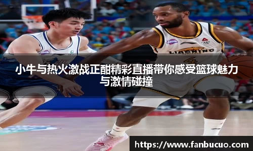 小牛与热火激战正酣精彩直播带你感受篮球魅力与激情碰撞